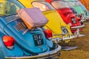 Vintage Volkswagen Beetles