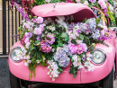 Pink Car with Flowers in the Hood